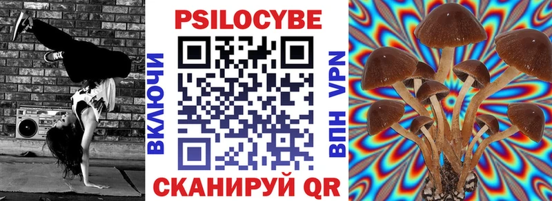 Купить Буинск Псилоцибиновые грибы мицелий